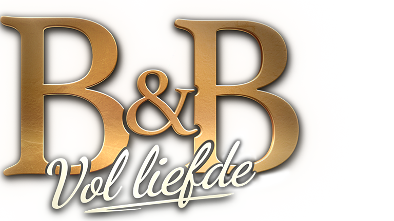 program logo