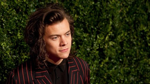 Concert Harry Styles valt in het water