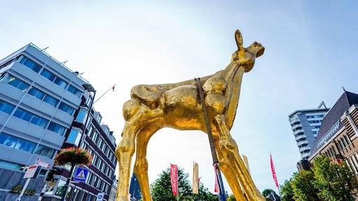 Dit zijn de winnaars van de Gouden Kalveren