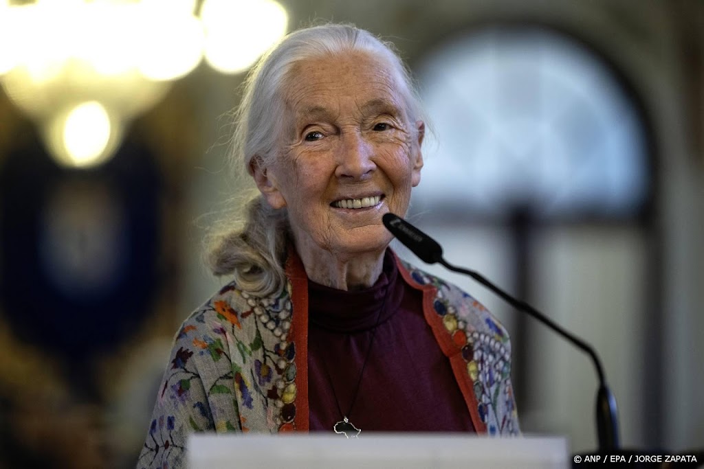 Primatoloog Jane Goodall (91) overleden