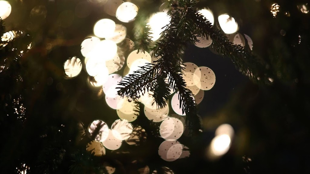 Kerstcommercials in première in speciaal blok op NPO 1