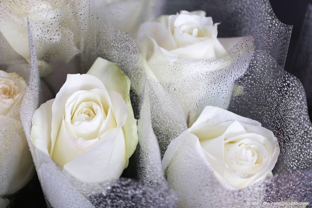 Vampire Diaries-actrice Accola getrouwd met Originals-acteur