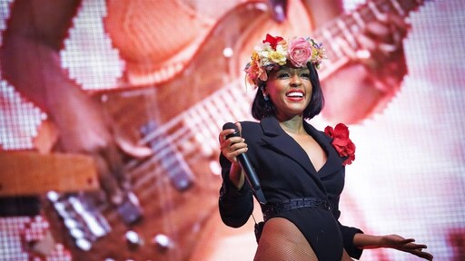 Janelle Monáe wint award voor 'uitmuntende prestaties' en 'moed'