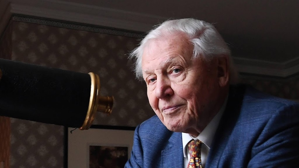 David Attenborough zet punt achter Instagram: druk met brieven