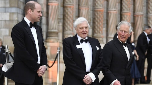 Televisiebioloog David Attenborough geridderd door prins Charles
