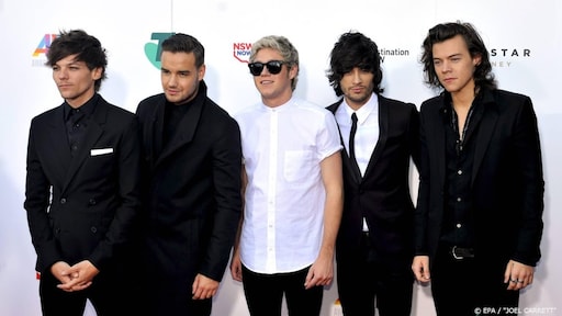 'Er zijn plannen voor mogelijke reünie One Direction'