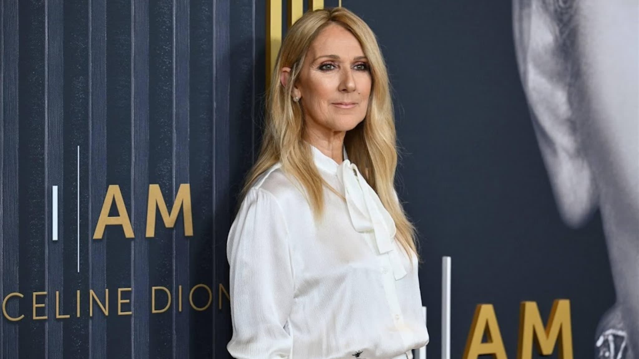Privéjet Céline Dion aangekomen in Basel, is zangeres aanwezig bij