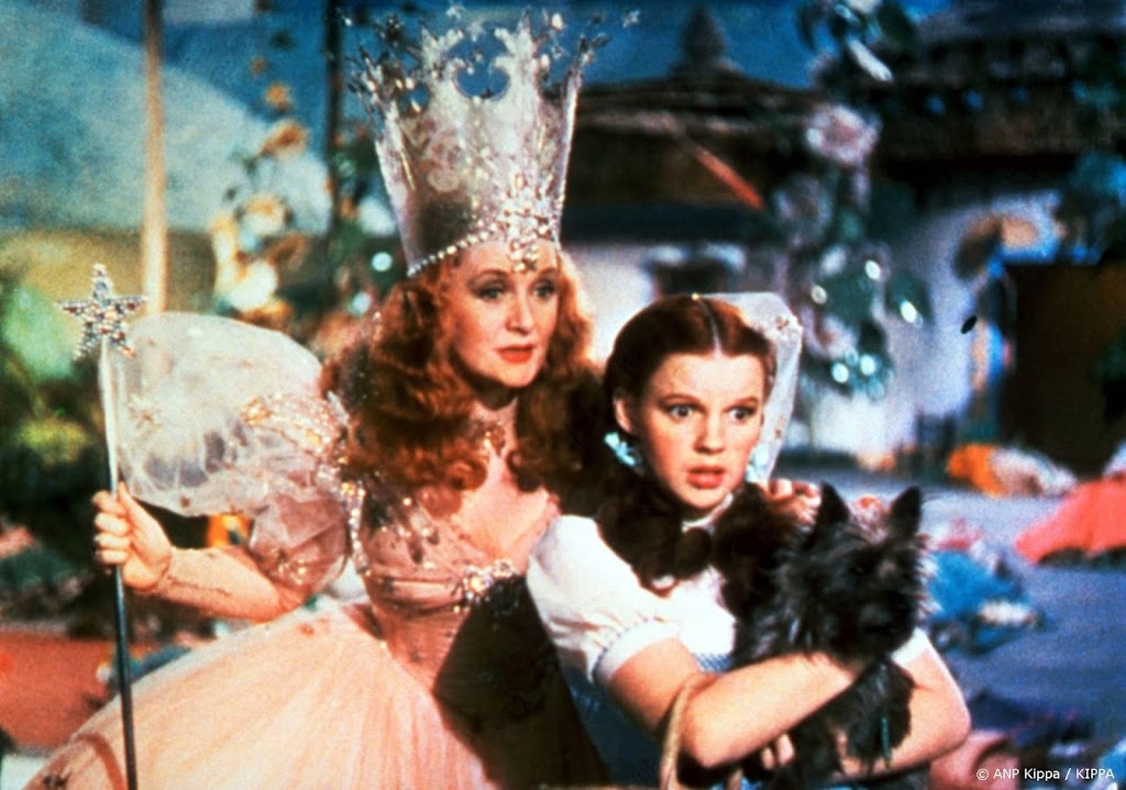 Beroemde hoed van heks uit Wizard of Oz onder de hamer