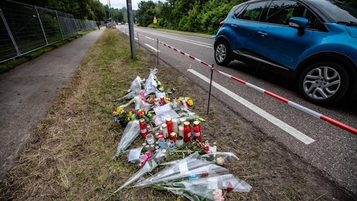 18 maanden cel geëist tegen verdachte Pinkpopdrama