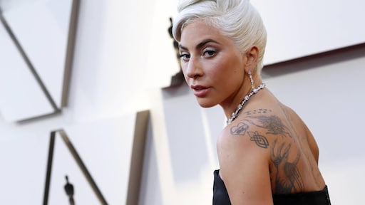 Ontvoering hondjes Lady Gaga in Amerikaanse Opsporing Verzocht