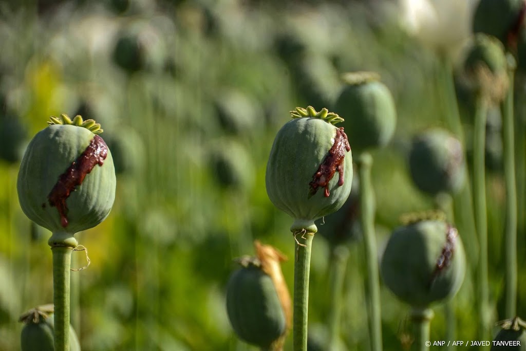 Rippers-regisseurs: we wilden niet alleen een vette actieserie