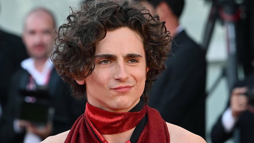 Timothée Chalamet houdt hoop dat Bob Dylan-film gemaakt wordt