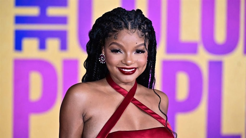 Halle Bailey wilde zwangerschap niet met wereld delen: 'Sommige dingen privé'
