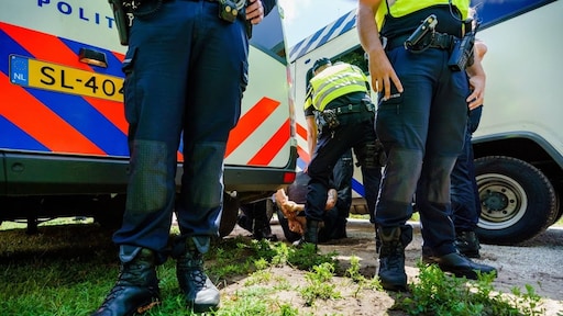 Bezoekster Haags festival mogelijk geprikt met injectienaald