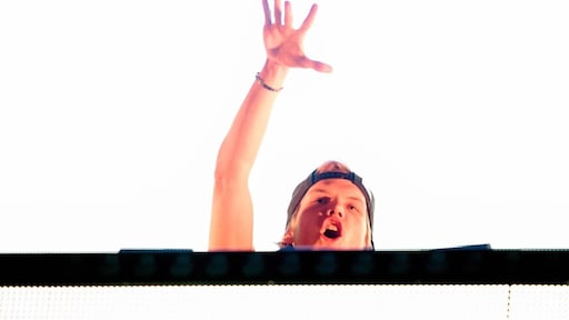 Biografie Avicii dit najaar in de winkels