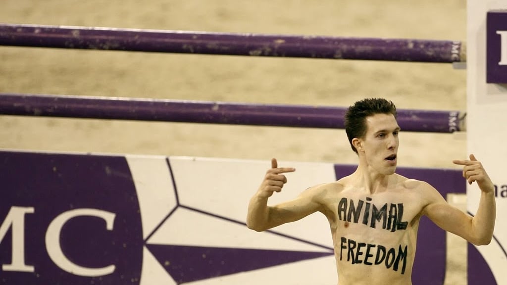 NPO na streaker-incident Eva: omroepen gaan over beveiliging