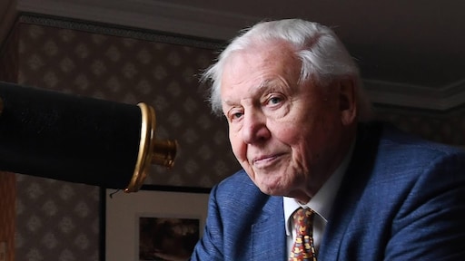 David Attenborough blijkt waar Instagram-fenomeen te zijn