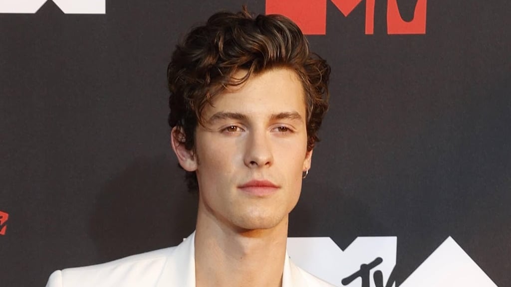 Ook Shawn Mendes stopt tijdelijk met social media