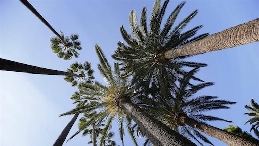 Organisatie mislukt Fyre Festival kondigt tweede editie aan