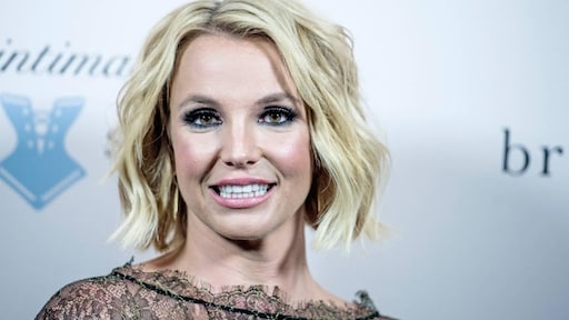 'Britney Spears ziet haar kinderen wél nog gewoon'