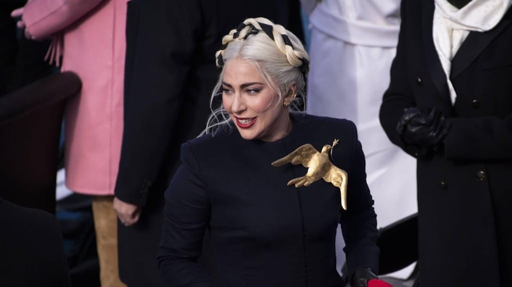Hondjes Lady Gaga zaten vastgebonden aan paal
