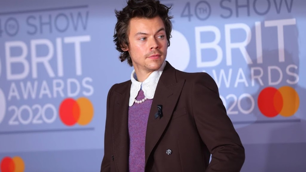 Harry Styles doneert opbrengst van tour aan organisatie