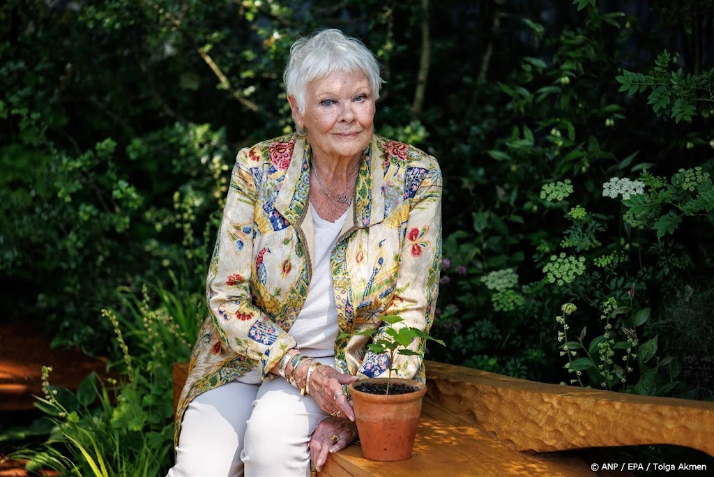 ジュディ・デンチ、女優としてのキャリアの終わりを示唆「目も見えない」 | RTL Boulevard