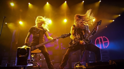 AFAS Live-show Pantera kort stilgelegd na gewonde fan