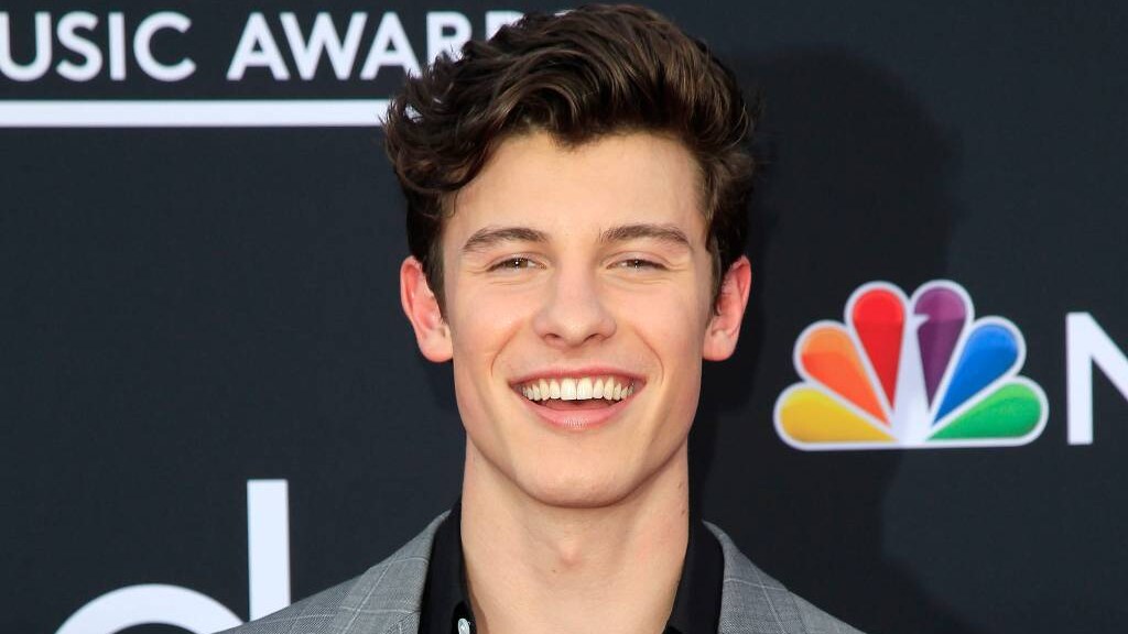 Shawn Mendes is happy single