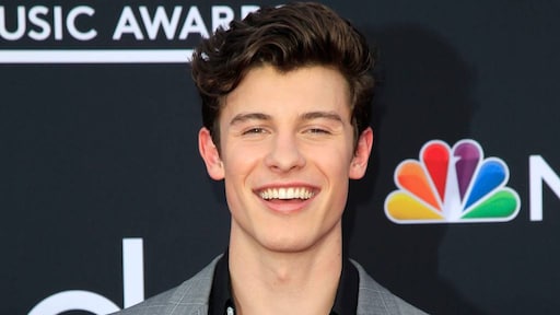 Shawn Mendes is happy single