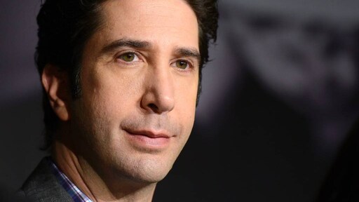 David Schwimmer vraagt steun van mannen