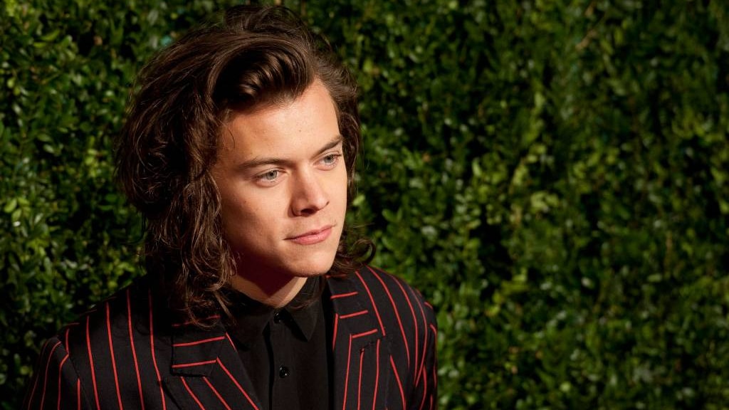 'Harry Styles breekt met Camille Rowe'