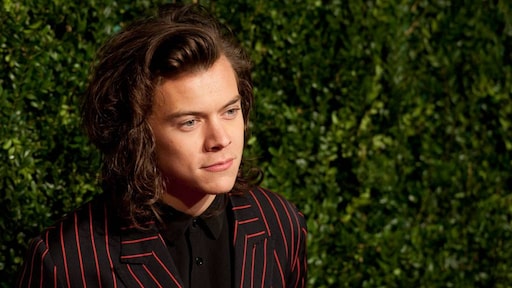 'Harry Styles breekt met Camille Rowe'