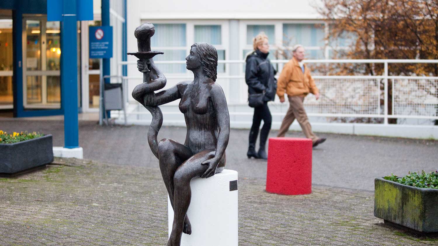 Kamerleden: Rapport Ruwaard 'schokkend'