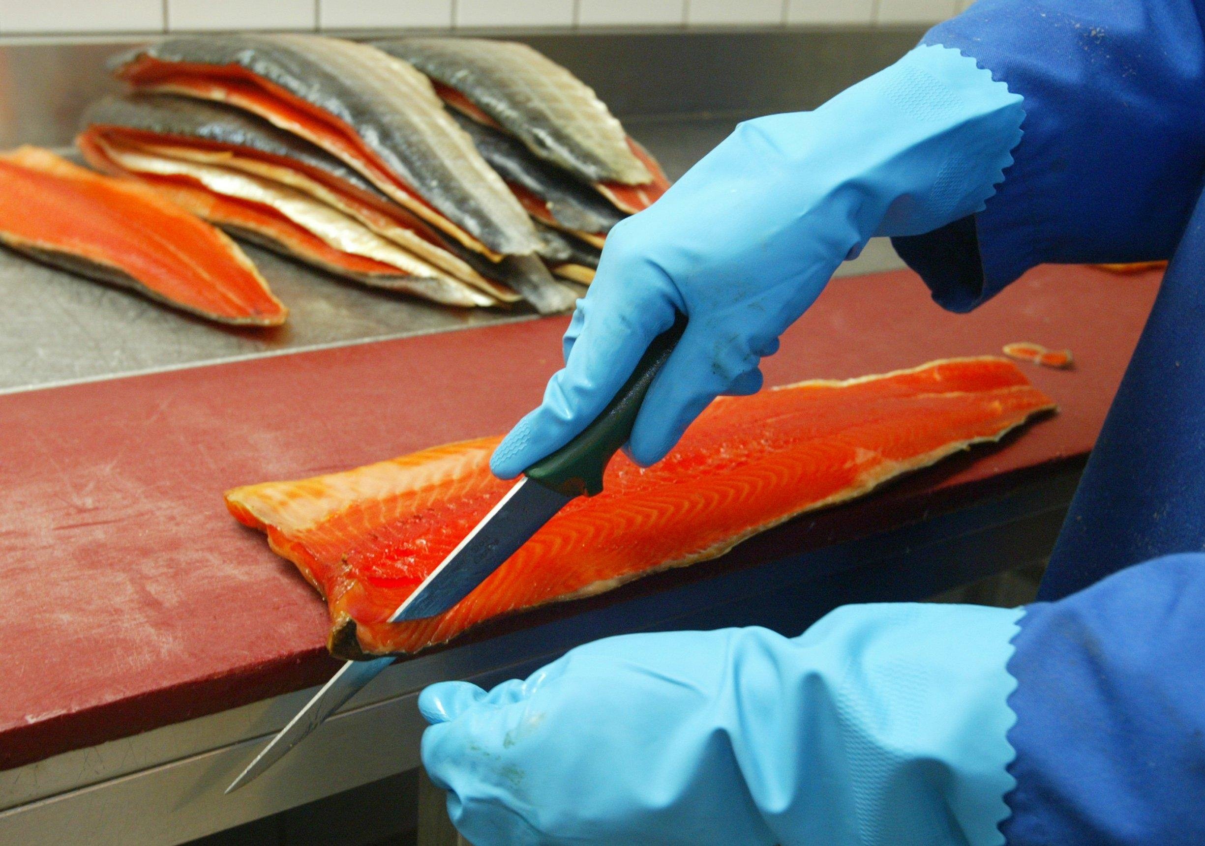 'Onnodig zieken door te laat ingrijpen bij salmonella-uitbraak'