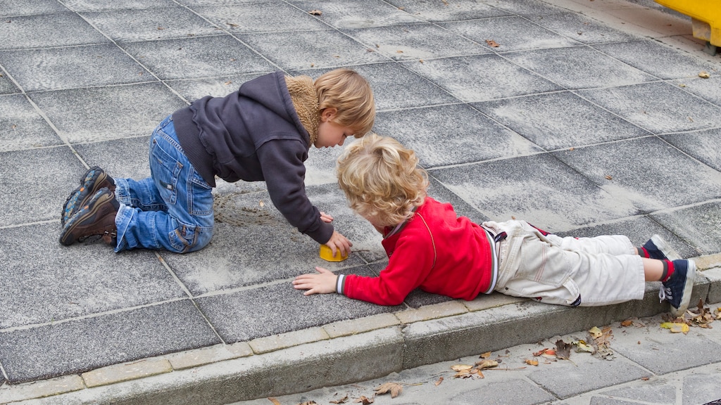 Staatssecretaris door stof, belooft schadevergoeding gedupeerden toeslagenaffaire