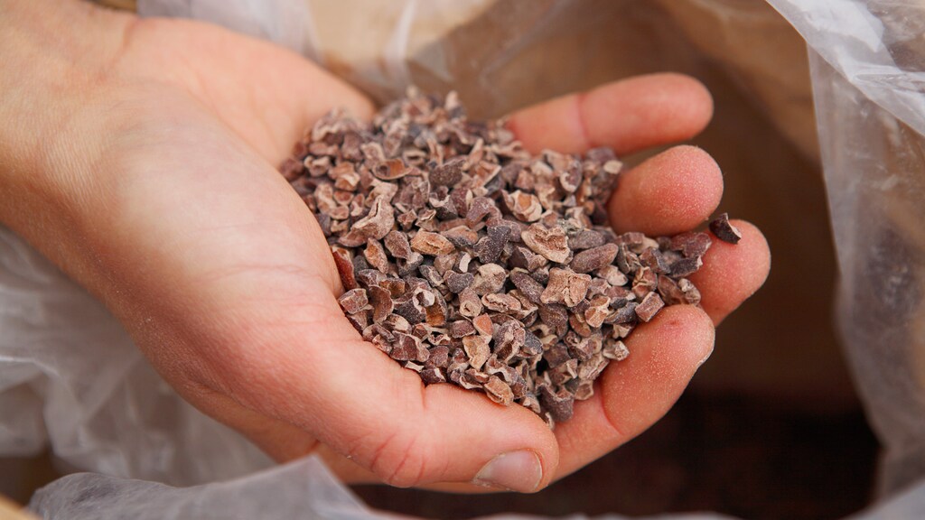 Cacao-nibs (archieffoto)