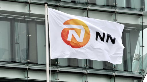 NN wil 'woekerpolis' van internet schrappen