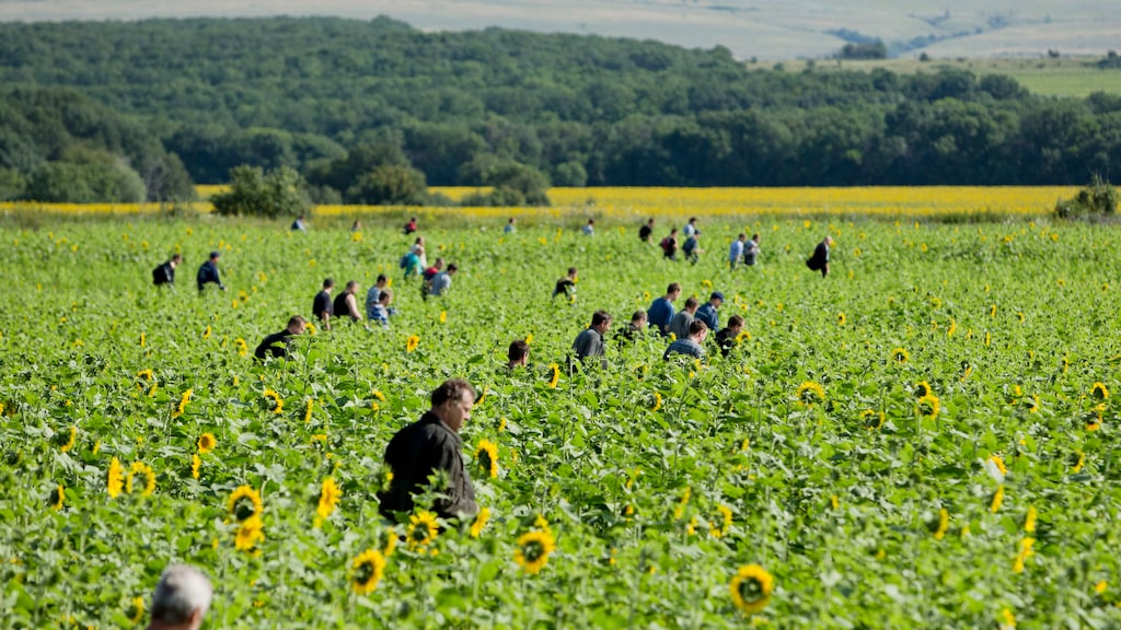Waarschuwing Oekraïne over onveilig luchtruim maanden voor MH17-ramp genegeerd