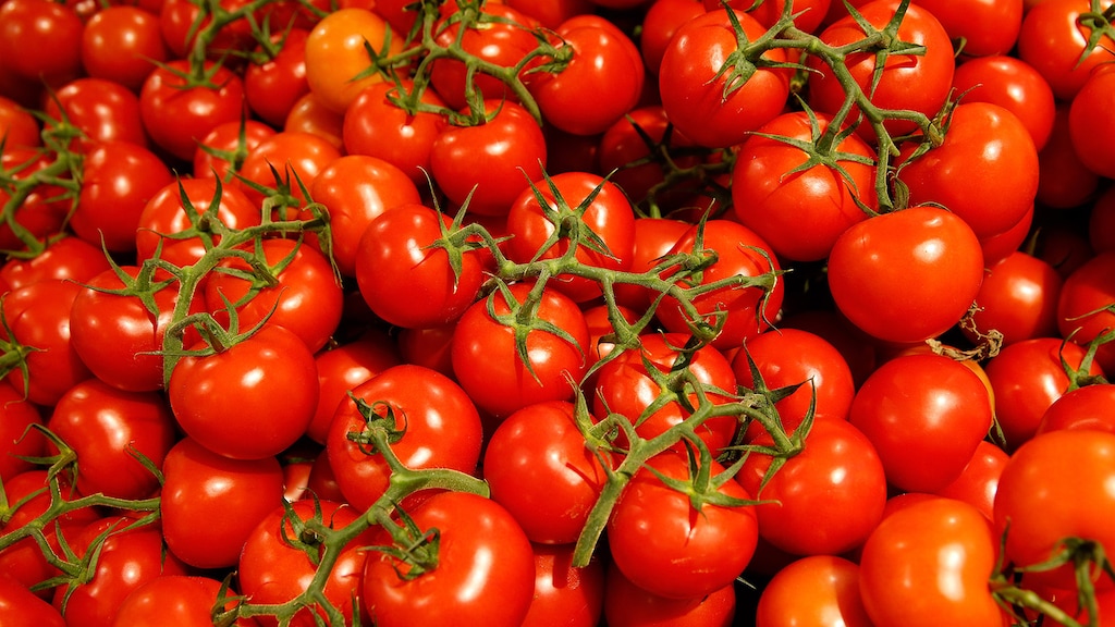 Telers slaan handen ineen tegen voedselverspilling