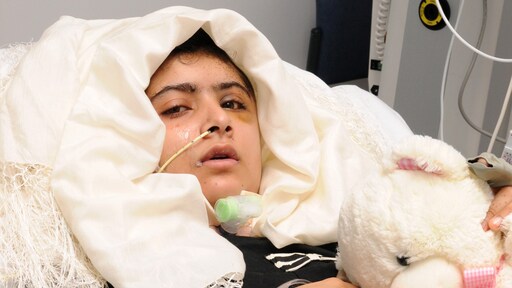 Belagers Malala moeten levenslang de cel in
