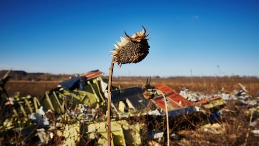 Rampplek MH17 is nu frontlinie