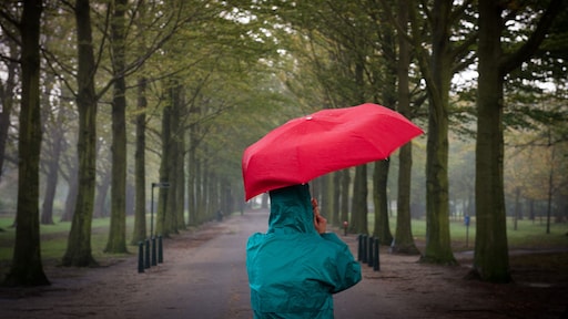 Dit doet klimaatverandering met Nederland
