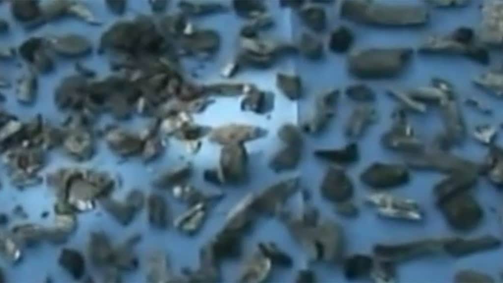 Gruwelijke details: studenten Mexico 14 uur lang verbrand