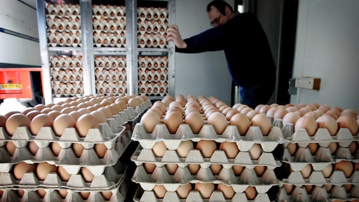 'Geen zorgen over de eieren, er gebeurt echt niets'