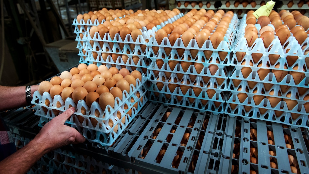 Nieuw geval vogelgriep 'harde klap'