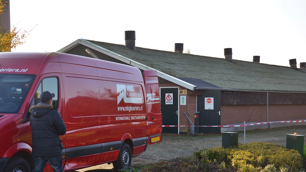 Derde geval vogelgriep: ook uitbraak in Kamperveen