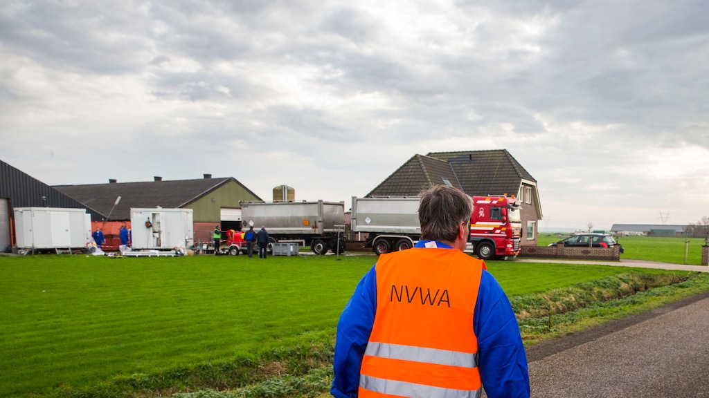 NVWA: Geen verdere besmettingen in Kamperveen