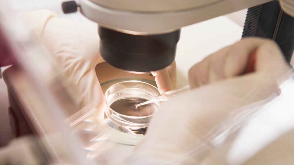 Lagerhuis stemt in met wet voor embryo met drie ouders