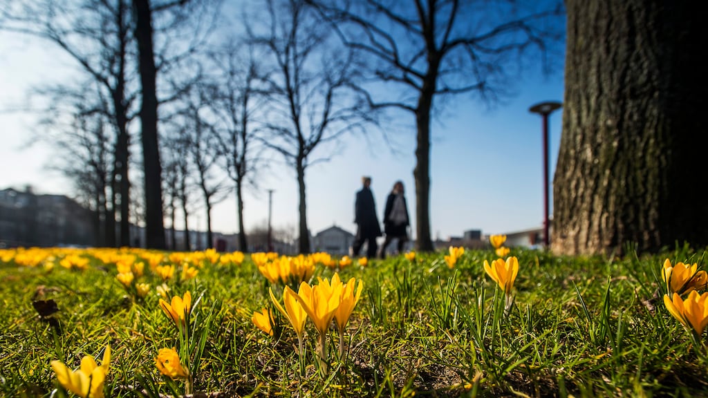 Het wordt nog een tikkie warmer: zondag tot 19 graden
